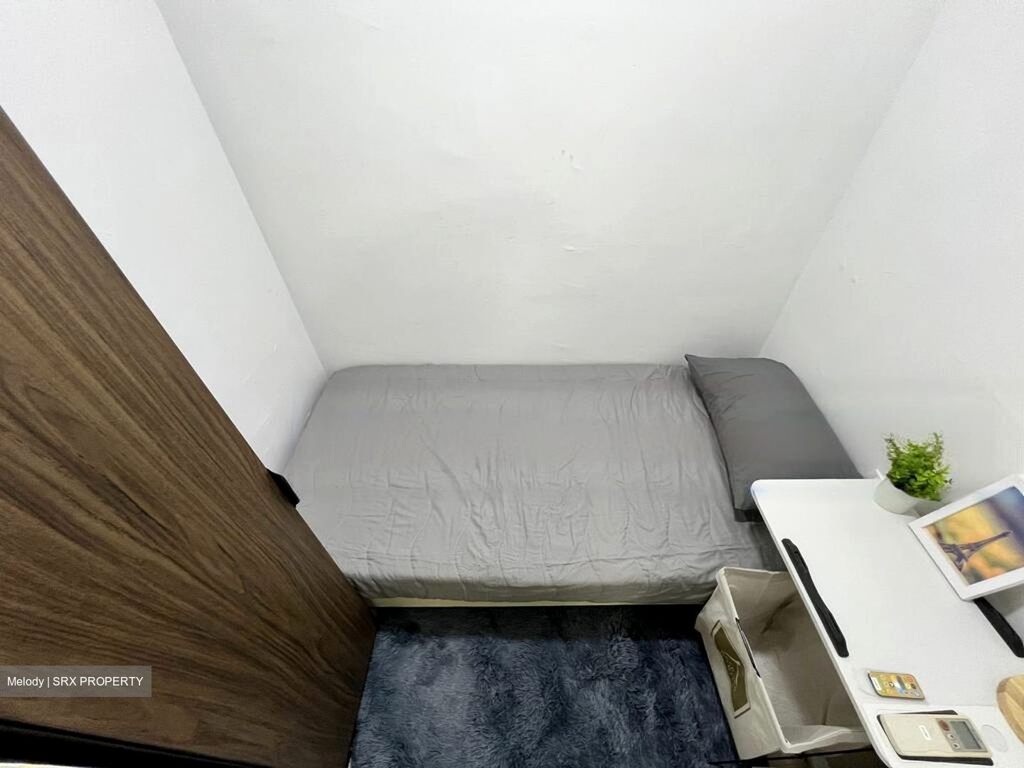A Treasure Trove (D19), Condominium #486480061